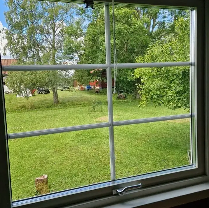 Spröjsat fönster med utsikt mot en grön trädgård